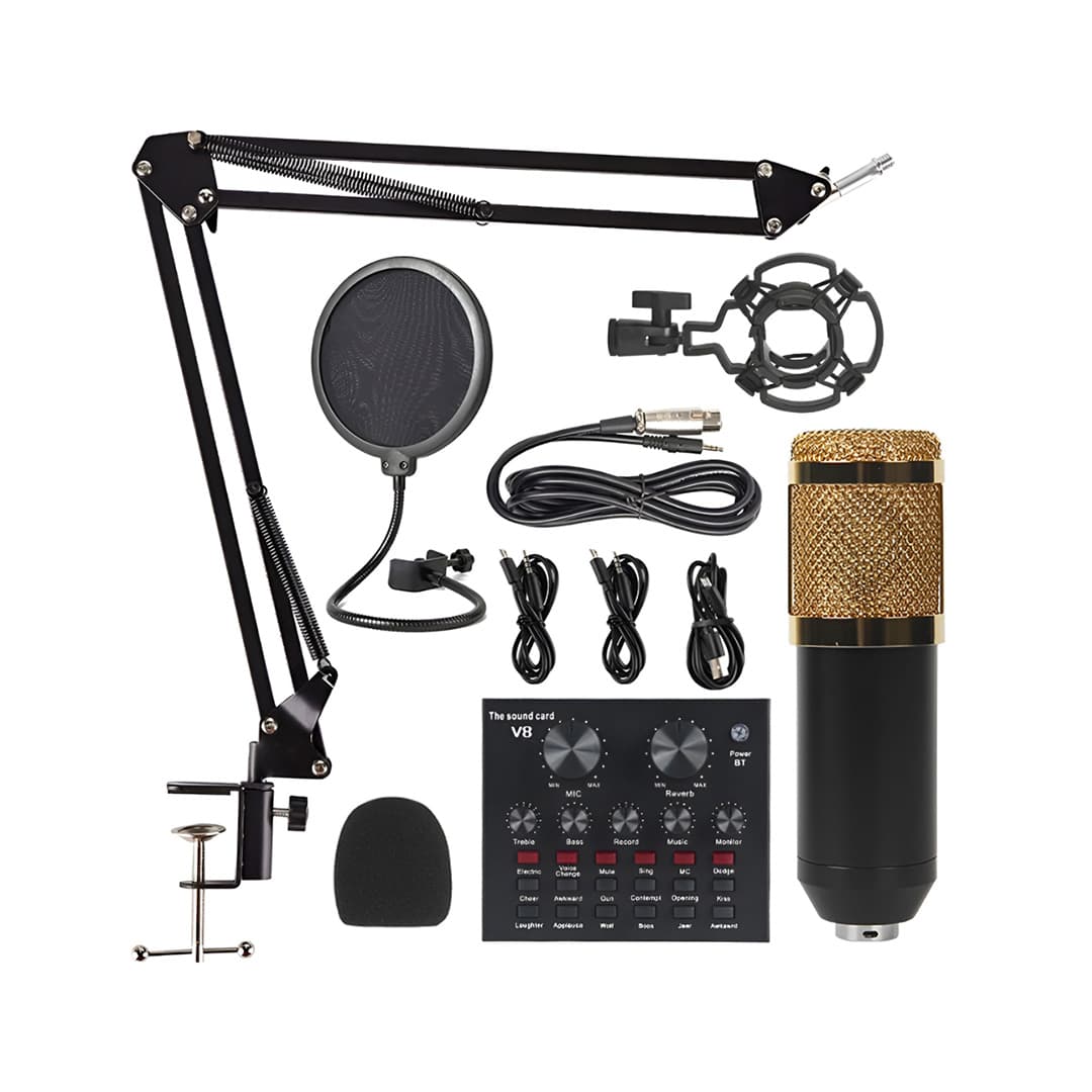 V8 BM-800 Podcast Mic Set